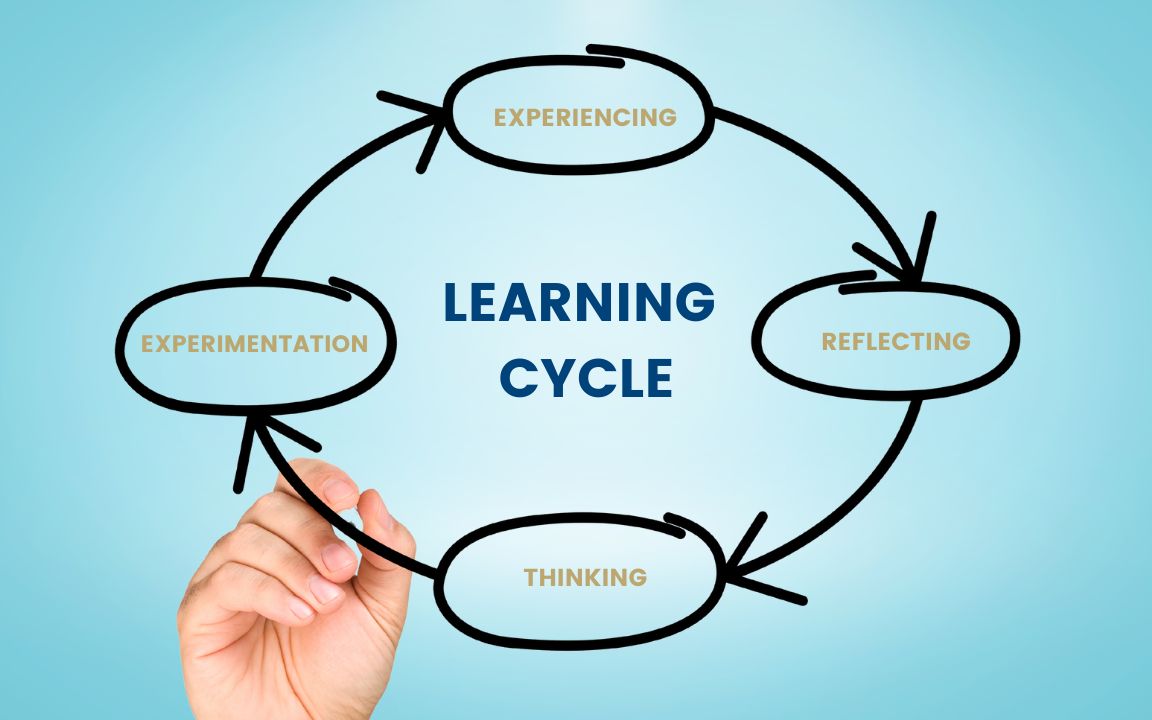 How Kolb's Experiential Learning Cycle Creates Lifelong Learners